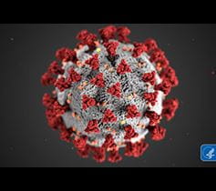 Coronavirus Disease 2019 COVID 19 CDC Image