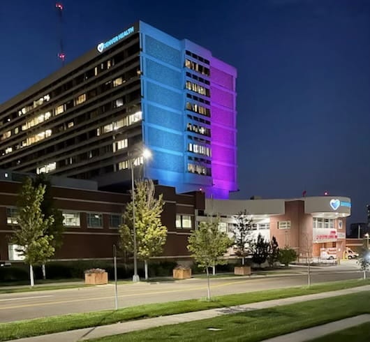 PavALitTealandPurple