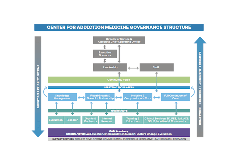 CAM governance structure aug 2021 600px