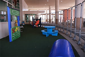 Child Life Zone Denver Health Playground