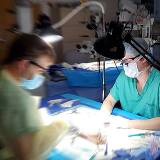 Denver Health hand microvascular surgery training