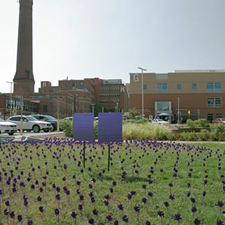 Denver Health observes Overdose Awareness Day with 1062 purple ribbons