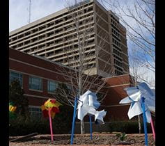 pinwheels to celebrate discharged COVID-19 patients at Denver Health