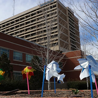 pinwheels to celebrate discharged COVID-19 patients at Denver Health