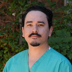 Ayrton Sanguino, DMD