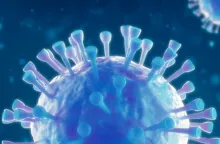 Coronavirus image