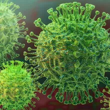 Stopping the Spread of COVID 19 In Any Language