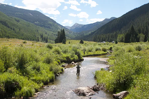 an adult is fly fishing in the middle of a mountain stream