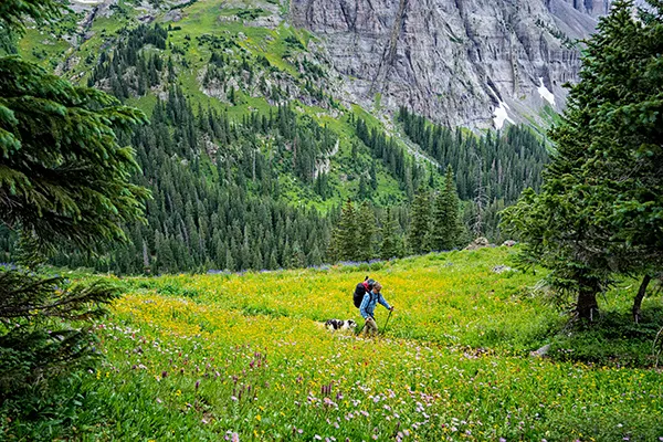 A man hikes in the mountains with a dog following