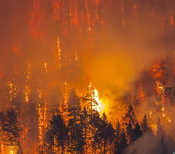 Denver Paramedic Division Sets New Records for One-of-a-Kind Wildland Fire Team Deployments